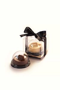 מדליית שוקולד סביבון