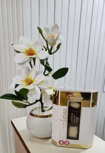 פרח של פינוק