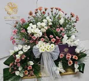 WhatsApp Image 2025-10-23 at 11.25.31.