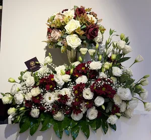 WhatsApp Image 2026-03-11 at 00.33.10 (1).