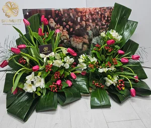 WhatsApp Image 2026-03-11 at 00.33.10.